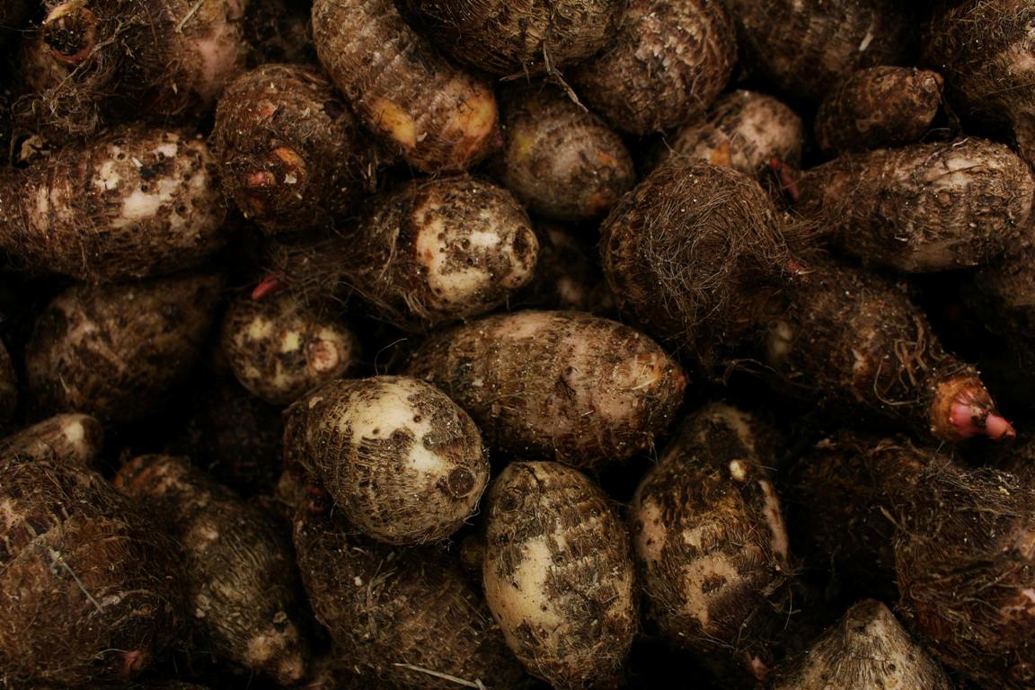 Is cocoyam good for weight loss?