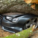 Hastings Car Insurance